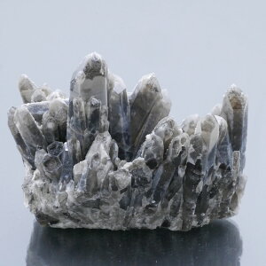 X[L[NH[cNX^[ `xbgY 1_   j  203.5g VR΁Eu