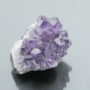 EOACYAWXgNX^[ ZF 1_ 82g VR u  ^ ^ 