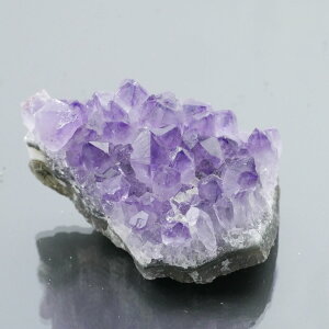 EOACYAWXgNX^[ ZF 1_ 63g VR u  ^ ^ 