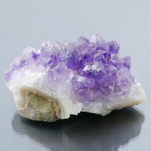 EOACYAWXgNX^[ ZF 1_ 83g VR u  ^ ^ 