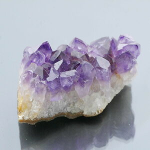 EOACYAWXgNX^[ ZF 1_ 54g VR u  ^ ^ 