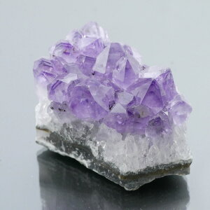 EOACYAWXgNX^[ ZF 1_ 90g VR u  ^ ^ 