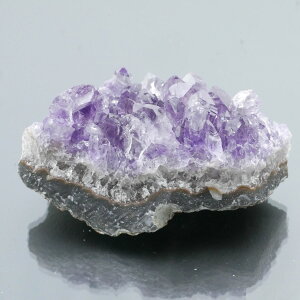 EOACYAWXgNX^[ ZF 1_ 75g VR u  ^ ^ 