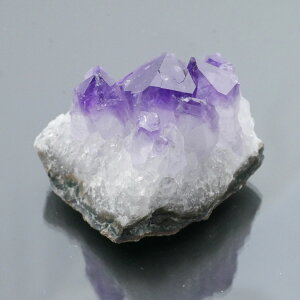 EOACYAWXgNX^[ ZF 1_ 84g VR u  ^ ^ 