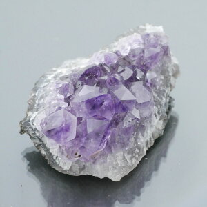 EOACYAWXgNX^[ ZF 1_ 40g VR u  ^ ^ 