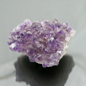 EOACYAWXgNX^[ 1_ 75g VR u  ^ ^ 