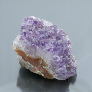 EOACYAWXgNX^[ 1_ 64g VR u  ^ ^ 