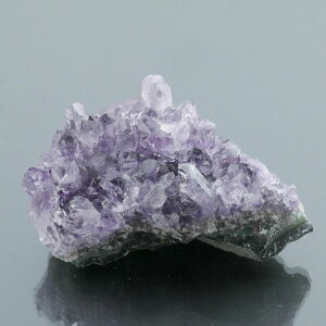 EOACYAWXgNX^[ 1_ 62g VR u  ^ ^ 