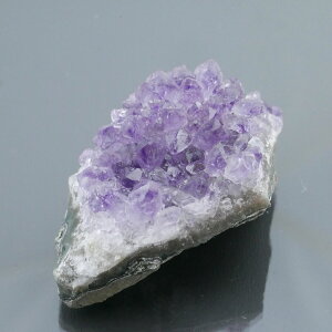 EOACYAWXgNX^[ 1_ 35g VR u  ^ ^ 