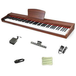 �y�ؐ��d�q�s�A�m�zLongeye�����A�C�d�q�s�A�m88����MOLD2���{��\�L��w�b�h�z�������g�pMIDI�[�q�Ή�10mm�X�g���[�N380��މ��F�ڒ�DREAM�������S�җ��K�Ƀs�b�^��MIDI�Ή����{��Ő�����