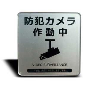 SeagronhƃJ쓮}OlbgTCv[gVo[FAN8x8cm(hƃJ쓮}Olbg)