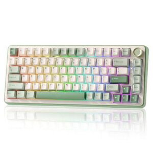 YUNZII B75 PRO 75% �K�X�P�b�g�Q�[�~���O�L�[�{�[�h �������J�j�J���L�[�{�[�h BT/2.4G/�L�� ���C�����X �z�b�g�X���b�v ���� RGB �m�u�t���J�X�^���L�[�{�[�h Mac/Win�p �Z�K�F�؎擾 (�O���[��, �c