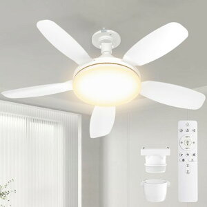SUKITENV[Ot@Cgt@tƖy^E啗ʁEt]zV@44W120W5000lmODC[^[E2681cm[/^C}[@\Rt8-10ȃGldFFȒPc