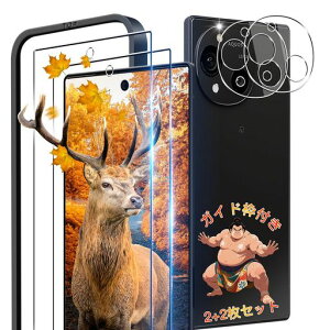 �y2+2���Z�b�g�w��F�ؑΉ��z�K�C�h�g�t���pAQUOSR10�K���X�t�B����2��AQUOSR10SH-51F�t�B����+2���J�����ی�y���{���Ɏq��9H���x�z�Ή��A�N�I�XR10�����K���X�S�ʕی�t�B�����P�[�X
