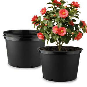 ^v^[43cm3_ZbgvX`bNAؔʔrt2mmAւȒP|ϗtA؉ʎԂ͔|ƒ؉|A[EOpa430x300mm