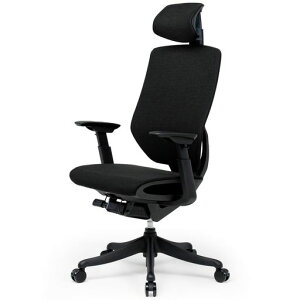 FLEXISPOT�I�t�B�X�`�F�A�f�X�N�`�F�ABS12���@�\���߃��b�L���O�@�\3�i�K�Œ艜�s�����w�b�h���X�g�t��3D�A�[�����X�g�����o�[�T�|�[�g�t�����b�V�����[���h�E���^���É��L���X�^�[(�u���c