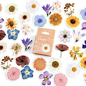 COLORBIRDԃXebJ[92ԃV[X}zP[X킢蒠V[XNbvubNXebJ[