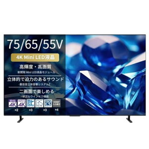 REGZA 65�C���` 4K Mini LED�t�� �X�}�[�g�e���r Dolby Atmos 65E770S 2026�N���f��