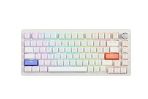 DrunkDeer A75 ���s�b�h�g���K�[ �L�[�{�[�h ���J�j�J�� TKL �Q�[�~���O ���C�X�C�b�` RGB �L�� USB �R���p�N�g 82�L�[ �m�u�t�� �S�[�X�g�h�~ ���ڂ�h�~ �z���C�g