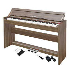 KIMFBAY�d�q�s�A�m88���Ֆؐ��d�q�s�A�m�A�b�v���C�g88���Փd�q�s�A�m�y�_���t���q�����S��MIDI�Ή����C�g�u���E��