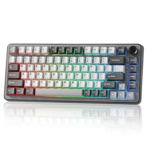 YUNZII B75 PRO 75% �K�X�P�b�g�Q�[�~���O�L�[�{�[�h �������J�j�J���L�[�{�[�h BT/2.4G/�L�� ���C�����X �z�b�g�X���b�v ���� RGB �m�u�t���J�X�^���L�[�{�[�h Mac/Win�p �Z�K�F�؎擾 (�_�[�N�O���c