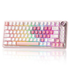 YUNZII B75 PRO 75% �K�X�P�b�g�Q�[�~���O�L�[�{�[�h �������J�j�J���L�[�{�[�h BT/2.4G/�L�� ���C�����X �z�b�g�X���b�v ���� RGB �m�u�t���J�X�^���L�[�{�[�h Mac/Win�p �Z�K�F�؎擾 (�z���C�g, �c