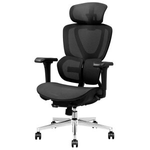 FLEXISPOT�I�t�B�X�`�F�A�f�X�N�`�F�AC8�l�ԍH�w�G���S�m�~�N�X�`�F�A���b�V���`�F�A2WAY�����K�������o�[�T�|�[�g�w������̍������߃V���N�����b�L���O3�i�K�Œ���ʉ��s����3D�A�[�����c