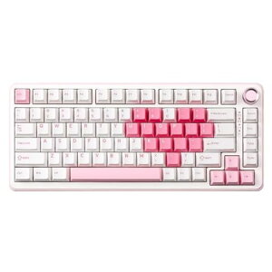 YUNZIIB75PRO75%�K�X�P�b�g�Q�[�~���O�L�[�{�[�h�������J�j�J���L�[�{�[�hBT/2.4G/�L�����C�����X�z�b�g�X���b�v����RGB�m�u�t���J�X�^���L�[�{�[�hMac/Win�p�Z�K�F�؎擾(�z���C�g�~���NV2�X�C�c