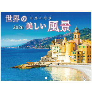 J_[|E̔i2026J_[Ǌ|iՂ̐iy260x340mmz߂荂掿ʐ^