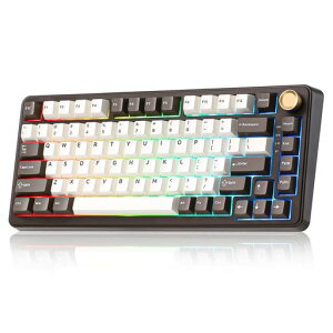 YUNZII B75 PRO 75% �K�X�P�b�g�Q�[�~���O�L�[�{�[�h �������J�j�J���L�[�{�[�h BT/2.4G/�L�� ���C�����X �z�b�g�X���b�v ���� RGB �m�u�t���J�X�^���L�[�{�[�h Mac/Win�p �Z�K�F�؎擾 (�R�[�q�[�u�c