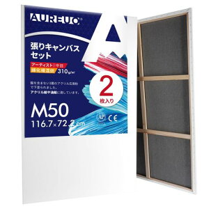 AUREUOȉ@aLoXM50(116.7cmX72.2cm)2-ڕz?ʉEGEANp-_A[gE|bvA[gɍœK