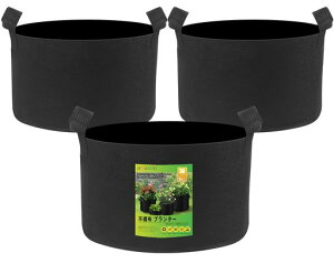 3ZbgsDzv^[30K͔|܃|bgztFgA(a60cmx40cm)|A琬؍͔|ƒ؉ɍœKł-BODHTAT