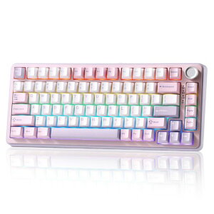 YUNZII B75 PRO 75% �K�X�P�b�g�Q�[�~���O�L�[�{�[�h �������J�j�J���L�[�{�[�h BT/2.4G/�L�� ���C�����X �z�b�g�X���b�v ���� RGB �m�u�t���J�X�^���L�[�{�[�h Mac/Win�p �Z�K�F�؎擾 (��, �R�R�A�c