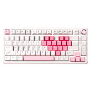 YUNZIIB75PRO75%�K�X�P�b�g�Q�[�~���O�L�[�{�[�h�������J�j�J���L�[�{�[�hBT/2.4G/�L�����C�����X�z�b�g�X���b�v����RGB�m�u�t���J�X�^���L�[�{�[�hMac/Win�p�Z�K�F�؎擾(�z���C�g