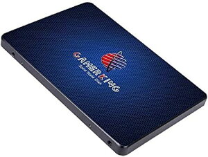 GamerKing SSD 128GB SATA III 2.5 Inch 6Gb /s�����^ Solid State Drive �n�[�h�h���C�u �����\�n�[�h�h���C�u�m�[�g/�p�\�R��/�f�X�N�g�b�v�K�p �\���b�h�X�e�[�g�h���C�u 3�N�ۏ�SSD