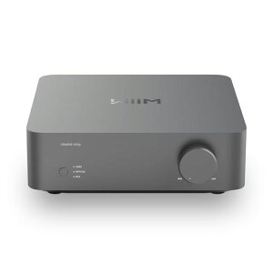 �y���A���i�zWiiM Vibelink Amp|100W�p���[�A���v|ESS 9039Q2M DAC&TI TPA3255����|WiiM Mini/Pro/Pro Plus/Ultra�Ή�|RCA/����/���f�W�^������|�X�y�[�X�O���[