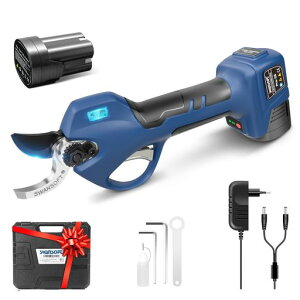 �y�����A���A�y�� 0.9KG �zSwansoft �����h�~�@�\ 28mm �d������o�T�~ 0.3�b�ŏu���ؒf �R�[�h���X�d���͂��� �g���K�[�A���@�\�t�� 16.8V 2Ah���`�E���d�r2�t�� �ؒf�񐔂Ǝc�ʕ\���f�B�X�v�c