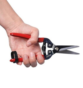 Gardeness 12 PCS Straight SK5 Steel Pruning Shear Garden Scissor Flower Leaf Trimmer Floral Fruits Picking Ultra Sharp