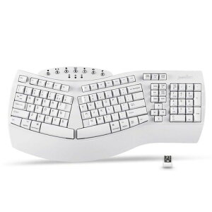 Perixx(�y���b�N�X) PERIBOARD-612W �G���S�m�~�N�X�L�[�{�[�h ���C�����X Bluetooth/2.4GHz�l�ԍH�w ���� Windows10/MacOSX�Ή��y���K�ۏؕi�z �p��z�� (���C�����X�E�z���C�g)