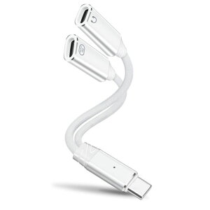 leizhan2-in-1USB-C�w�b�h�z��/�[�d�A�_�v�^�[�AType-C1����2�o��PD100W�}���[�d+�I�[�f�B�I+USB2.0�f�[�^�]���A�[�d���Ȃ��特�y�𒮂�/�t�@�C����]��-���F