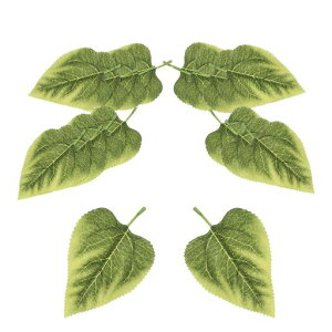 PATIKIL^Ђ܂̑ԗt50̐lHA΂̗tK[hDIYZ^[s[Xe[up[eB[EFfBOA[`u[PaNtgO