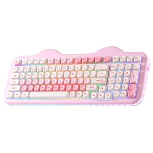YUNZII C98 ���C�����X���J�j�J���L�[�{�[�h�e���L�[�t�� 99�L�[ BT5.0/2.4GHz/USB-C �z�b�g�X���b�v �K�X�P�b�g�}�E���g �L�[�{�[�h PBT MOA�L�[�L���b�v �J�X�^��RGB�o�b�N���C�g���� �����P�[�c