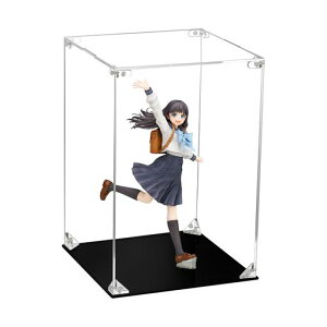 CHILLCASEtBMAP[XUVJbgRNVP[XnȒPg5ʃNArANP[XfBXvCP[XS\N[jONXt(20xs20x30cm)