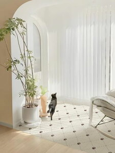 MORCARTtA^CutAV[g\邾ڒܕsvV[gDIYgCփLb`CNV[gt[OV[ghh~OK(20*20cm*10