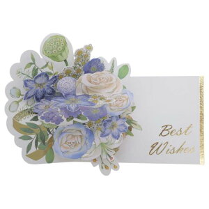 CAPASTECO[eBOJ[hbZ[WJ[hԗ̂LOFlƑt1Zbg