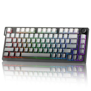 YUNZII RT75 PRO ���C�����X�Q�[�~���O�L�[�{�[�h ���s�b�h�g���K�[�L�[�{�[�h �z�[������ ���J�j�J�� ���C�X�C�b�` Bluetooth/USB-C/2.4G�ڑ� 8KHz�|�[�����O���[�g&128K�X�L���� �����\�m�u RGB�o�c