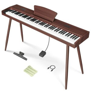 yVؐfƋsAmzLongeyeACdqsAm88MOODX^ȟ^10Wo͓{\LMIDIΉwbhzgg10mmXg[N380މFڒDREAMSҗKc