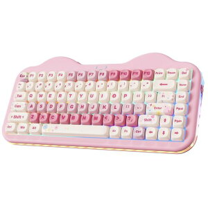 YUNZII C75 ���C�����X ���J�j�J���L�[�{�[�h 75%���C�A�E�g �z�b�g�X���b�v�Ή� �N���[�~�[�L�[�{�[�h NKRO PBT MOA �L�[�L���b�v RGB�o�b�N���C�g �K�X�P�b�g�}�E���g �����P�[�L�f�U�C�� BT5�c
