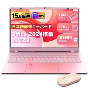 VETESA �m�[�g�p�\�R�� Office���� Win 11 Pro 15.6�C���` �m�[�gPC 16GB ������ SSD 256GB Pentium 6500Y FHD1080P �p�\�R�� WEB�J�����t�� laptop WIFI5/BT5/USB