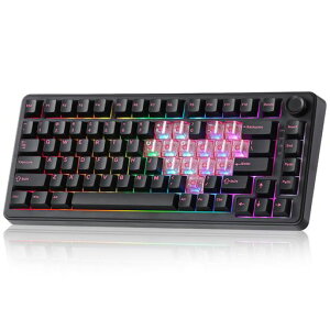YUNZII B75 PRO 75% �K�X�P�b�g�Q�[�~���O�L�[�{�[�h �������J�j�J���L�[�{�[�h BT/2.4G/�L�� ���C�����X �z�b�g�X���b�v ���� RGB �m�u�t���J�X�^���L�[�{�[�h Mac/Win�p �Z�K�F�؎擾 (�u���b�N�n�c